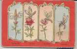 ITALIA - Tempo Di Impiego Dei Fiori - Insetti Che Si Alimentano Su Polline - LE 4 STAGIONI - VF UNUSED POSTCARD C/1900´s - Insecten