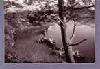 29 - Landevennec - Les Bateaux De Guerre Au Repos Dans L'anse De Penforn - Jos N°296 - Landévennec