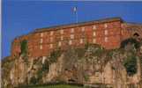 BELFORT : Au Pied Du Château, Le Lion, Oeuvre Du Sculpteur Batholdi - Belfort – Le Lion