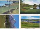 (389)  Golf & Golf Course - Golf