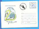 Polar Theme. Polar Bear, Penguin, Seal, Seagull, Whale Special Cancellation Romania Postal Stationery Cover1988 - Ours