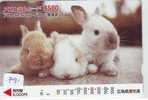 Carte Prepayee Japon * LAPIN (791) RABBIT * PREPAIDCARD JAPAN * KANINCHEN * KONIJN * CONEJO * - Conigli