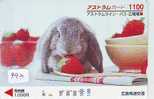 Carte Prepayee Japon * LAPIN (793) RABBIT * PREPAIDCARD JAPAN * KANINCHEN * KONIJN * CONEJO * - Rabbits
