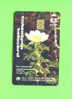 CYPRUS - Chip Phonewcard As Scan - Cyprus
