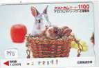 Carte Prepayee Japon * LAPIN (798) RABBIT * PREPAIDCARD JAPAN * KANINCHEN * KONIJN * CONEJO * - Conigli