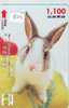 Carte Prepayee Japon * LAPIN (802) RABBIT * PREPAIDCARD JAPAN * KANINCHEN * KONIJN * CONEJO * - Kaninchen