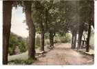 FORBACH   -   ** L´ ALLEE DES MARONNIERS Au SCHLOSSBERG **   -   Editeur : EUROPE  PIERRON    N°5.090 - Forbach