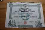 CIE FRANCAISE DES ACCUMULATEURS ELECTRIQUES  IODAC >SCRIPOPHILIE ACTION TITRE >100F SIEGE SOCIAL PARIS 1928 - Electricidad & Gas