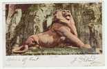 (RECTO/VERSO) BELFORT EN 1903 - LE LION - Belfort – Le Lion