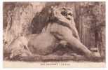 (RECTO/VERSO) BELFORT EN 1917 - LE LION - Belfort – Le Lion