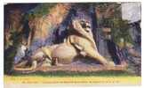 (RECTO/VERSO) BELFORT EN 1926 - LE LION - Belfort – Le Lion