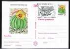 ROMANIA 1997 PMK , Entier Postaux Stationery POSTCARD,with Cactusses,cactus.(A3) - Sukkulenten