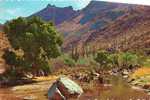 Etats Unis Sabino Canyon Tucson Arizona Animée Cavaliers - Tucson