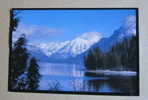 Carte Postale : Lake McDonald, Montana, USA, 1994 - Autres & Non Classés