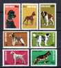 Romania 1981 / Dogs - Unused Stamps
