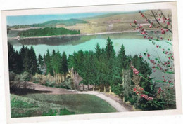 Lac De Paladru  Charavines    ( Printemps Au Bois D'amour ) - Paladru