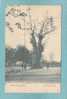 BRUXELLES - LAEKEN .  -  Le  Gros  Tilleul .  -  1912  -  BELLE CARTE ANIMEE  - - Bosques, Parques, Jardines