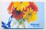 WALMART U.S.A.,  Carte Cadeau Pour Collection  VL10669 - Treuekarten