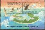COCOS (KEELING) ISLANDS - USED 1995 Seabirds Souvenir Sheet - Islas Cocos (Keeling)