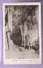 46 - Grottes De LACAVE - CPA - Les Orgues Les Cierges - Lacave