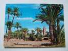N°504.MARRAKECH-Edition Ismail-1985-palmier Tour-MAROC- - Marrakech