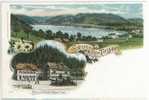 Cartolina - Gruss Vom Titisee Schwarzwald  - FORESTA NERA - PERIODO LIBERTY - HOTEL UND PENSION BAREN - Titisee-Neustadt