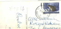 YUGOSLAVIA - FROG On Post Card - 1962. - Frogs