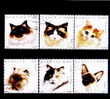 Roumanie 2006 Yv.no.5055-60,Chats 6v.obliteres Serie Complete - Usati