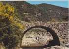 CPM De SAINT JEAN Du GARD Et L´ ESTRECHURE  (30) -  Le Pas De Soucy Et Pont Sur Le Gardon Avec Ses Genêts En Fleurs - Saint-Jean-du-Gard