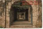 - PATIO AT THE ALAMO. SAN ANTONION, TEXAS. - Scan Verso - - San Antonio