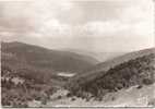 Environs De GUEBWILLER - Lac De Lauch - Guebwiller