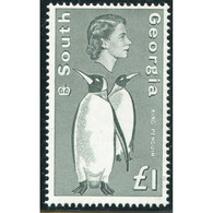 South Georgia 1969 MiNr. 24 Falklandinseln Birds Penguin 1v MNH** 20,00 € - Pinguini