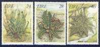 #Ireland 1986. Plants: Ferns. Michel 586-88. MNH(**) - Ongebruikt