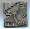 MEDAILLE SPORT LE LION SEMI MARATHON BELFORT MONTBELIARD FRANCHE COMTE 19996 MODELE BLANC - Brandweer