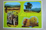 Carte Postale Affranchie :  En Cévennes, 1987 - Languedoc-Roussillon
