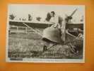 PHOTO DE PARIS SOIR - RIDRAY GAGNE A ORLY LA COUPE DES AVONS LEGERS - Other & Unclassified