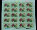 China 1997-17 Rose Flower Stamps Sheet Flora Plant Joint With New Zealand - Rose