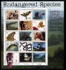 1996 USA ENDANGERED SPECIES Sheet #3105 Bird Crocodile Butterfly Parrot Trout Snake Frog - Slangen