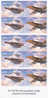 Australia-2011 Air Force Aviation Booklet MNH - Markenheftchen