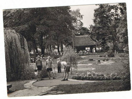 MINI GOLF  De Namur  (  Bromo Photo  ) - Mettet