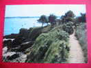 22  SAINT JACUT DE LA MER +  PORT De La HOULE CAUSSEUL  Chemin De Ronde+ Edit  ARTAUD N° 23 Ter+COTES ARMOR - Saint-Jacut-de-la-Mer