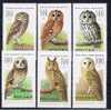 PL Polen 1990 Mi 3294-99 Mnh Eulen - Unused Stamps