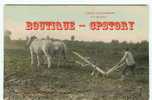 SCENE De LABOURAGE à CHEVAL - Laboureur Et Ses Chevaux - Labour En Normandie - Editeur Dans L'Orne - Dos Scané - Landbouw