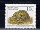 RSA+ Südafrika 1993 Mi 893A Mng Schildkröte - Usati