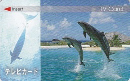 Carte Prépayée Japon - ANIMAL - DAUPHIN - DOLPHIN Japan Television Card - DELFIN TV Karte - GOLFINO - 200 - Delfines