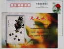 Chinese Wash Painting,chicken,mother's Love,China 1999 Hushun Post Office Advertising Pre-stamped Card - Día De La Madre