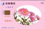 TAIWAN CARTE 1 SERIE FLEURS FLOWERS SET 100U VALID 2005/12/31 - Taiwan (Formose)