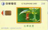 TAIWAN INSECTES LARVES  210U GLOSSY VALID 2003/12/31  RARE - Taiwan (Formose)