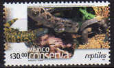 Mexique. Reptiles  (tortues, Etc)  1 T-p  **  Haute Faciale, Quantite Limitee - Tortues