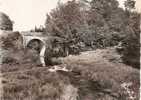 Haute Vienne - St Leger La Montagne , Pont De La Couze , Ed  Photo  Théojac - Autres & Non Classés